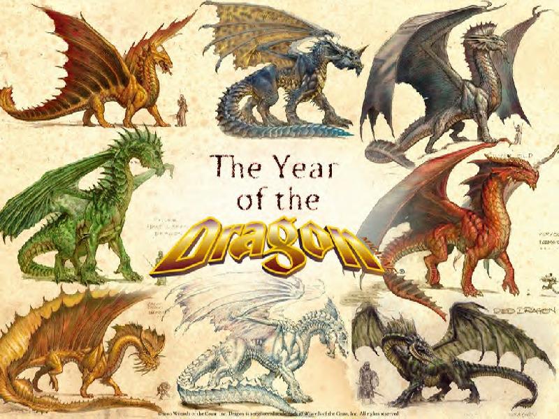 Dragons 43.jpg